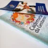 dois livros com fechamento em grampo com lombada canoa empilhados, um deles com capa azul claro com título "caderneta da Gestante" da cidade de delfinópolis eo outro com capa azul escuro com título "manual de conduta do colaborador" da cidade de furnas minas gerais